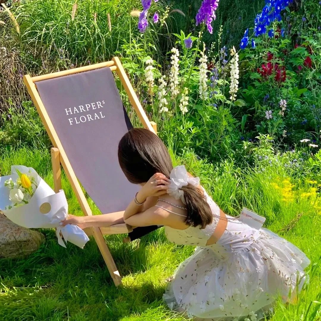 橄榄树下的情人